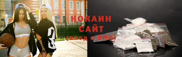 прущие грибы Валдай