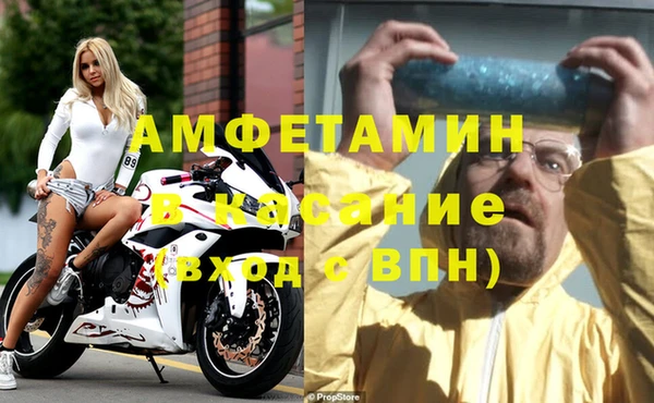 прущие грибы Валдай